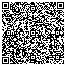 QR code with Chaney Consulting Co contacts
