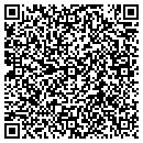 QR code with Netezza Corp contacts