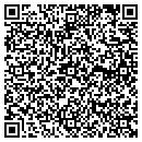 QR code with Chestnut Cleaning Co contacts