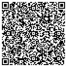 QR code with Chelsea Technology Inc contacts