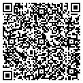 QR code with Nuclead contacts