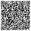 QR code with Lifetips contacts