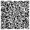 QR code with Chameleon Publishing contacts