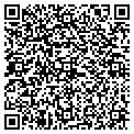 QR code with Basil contacts