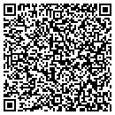 QR code with Blue Weave Painting contacts
