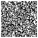 QR code with Bluebird Pizza contacts