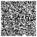 QR code with Cochise Valley Homes contacts