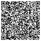 QR code with Public Safety Concepts contacts