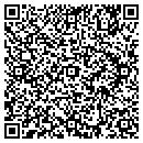 QR code with CESVETTEKGOODIES.COM contacts
