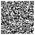 QR code with Nescor contacts