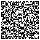 QR code with Preview Fabrics contacts
