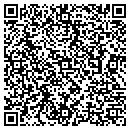 QR code with Cricket Car Service contacts