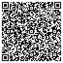 QR code with Bluefin Holdings Inc contacts