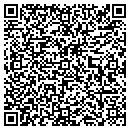QR code with Pure Polymers contacts