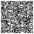 QR code with Prince Telecom Inc contacts