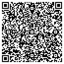 QR code with Pulse Systems Inc contacts