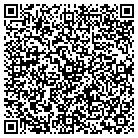 QR code with Public Consulting Group Inc contacts