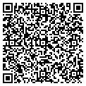 QR code with Todd A Shapiro MD P contacts