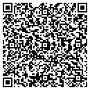 QR code with Barnyard Zoo contacts