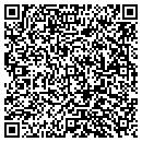 QR code with Cobblestone Auto Spa contacts