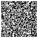 QR code with Pure Visual Inc contacts
