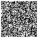 QR code with Public Pool contacts