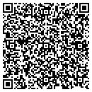 QR code with Cochise Self Storage contacts