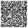 QR code with Talbots contacts