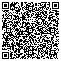 QR code with CJS Co contacts