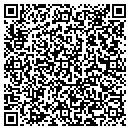 QR code with Project Consulting contacts