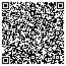QR code with Chianese Consulting Inc contacts