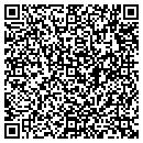 QR code with Cape Cod Institute contacts