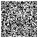 QR code with Pubsnet Inc contacts