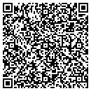 QR code with BLUESWIRLS.COM contacts