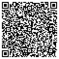 QR code with Dogma contacts