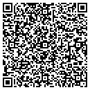 QR code with Publix contacts
