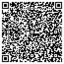 QR code with Putnam Property LLC contacts