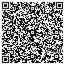 QR code with Professional Tutoring contacts