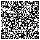QR code with Carpets Of Cape Cod contacts