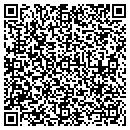 QR code with Curtin Consulting Inc contacts