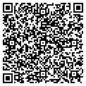 QR code with Maples contacts
