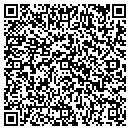 QR code with Sun Devil Auto contacts