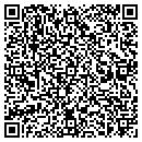 QR code with Premier Builders Inc contacts