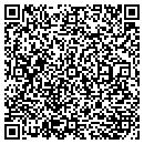 QR code with Professional Property Insptn contacts