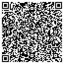 QR code with Carl Strube Consulting contacts