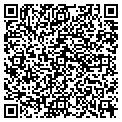 QR code with MAMLEO contacts