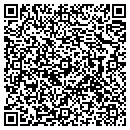 QR code with Precise Cuts contacts