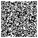 QR code with Cyclone Consulting contacts