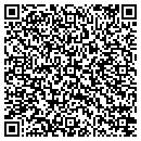 QR code with Carpet Store contacts