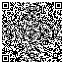 QR code with Blue Ridge Insurance Co contacts